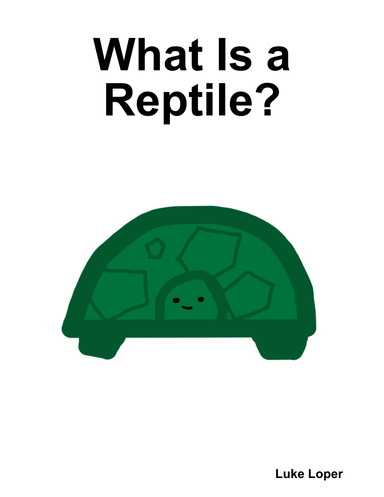 What Is a Reptile?