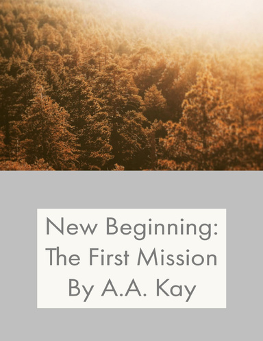 New Beginning: The First Mission