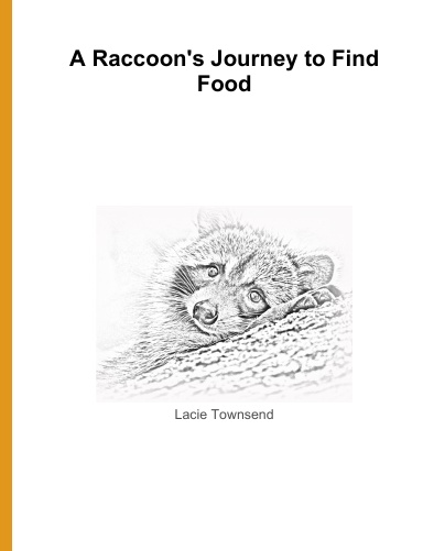 A Raccoon's Journey to Find Food