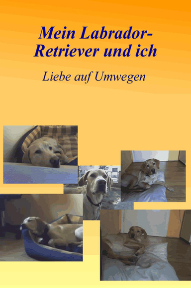 Mein Labrador Retriever und ich