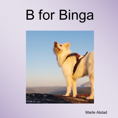 B for Binga