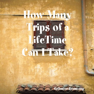 How Many Trips of a LifeTime Can I Take?