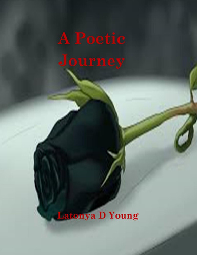 A  Poetic Journey
