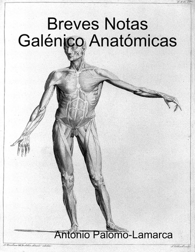Breves Notas Galénico Anatómicas