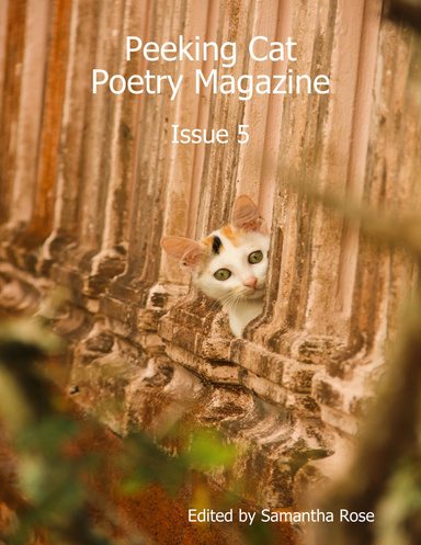 Peeking Cat Poetry Magazine - Issue 5