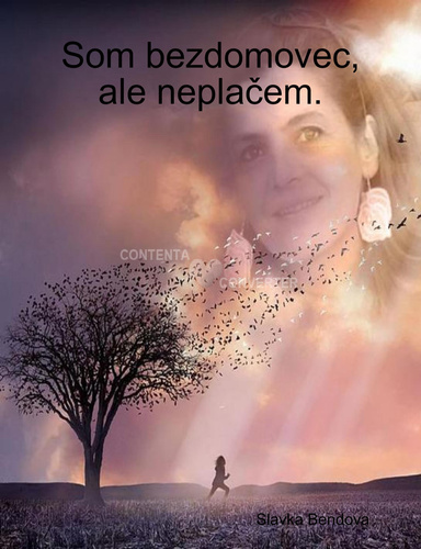 Som bezdomovec,ale neplačem.