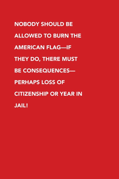 Nobody should be allowed to burn the American flag—if they do, there must be consequences—perhaps loss of citizenship or year in jail!