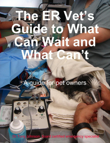 The ER Vet’s Guide to What Can Wait and What Can’t