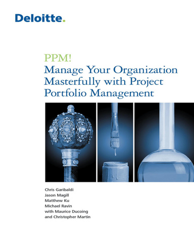 PPM! Manage Your Organization Masterfully with Project Portfolio Management