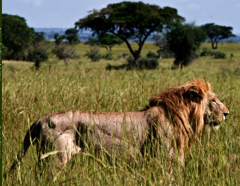 Africa: Five Years, A Lifetime