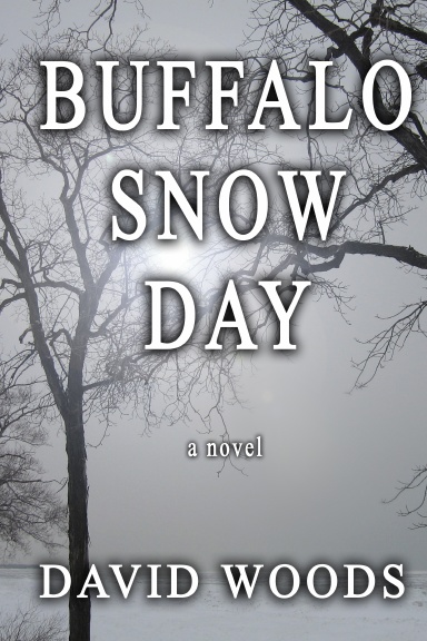 Buffalo Snow Day