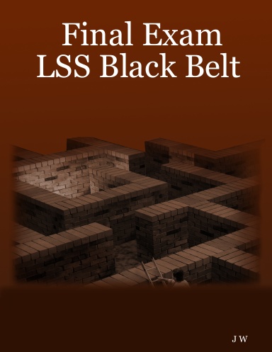 Final Exam LSS Black Belt