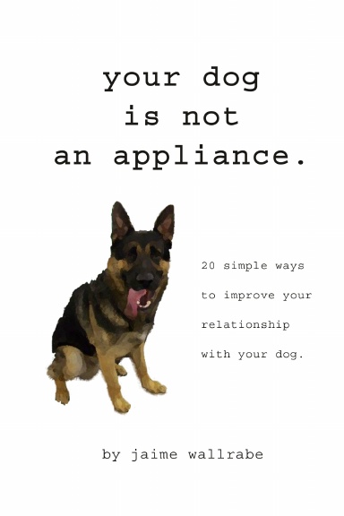 Your dog is not an appliance: 20 simple ways to improve your relationship with your dog.