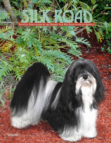 Silk Road - Spring 2008