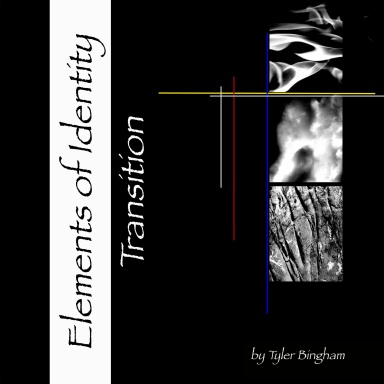 Elements of Identity Transition