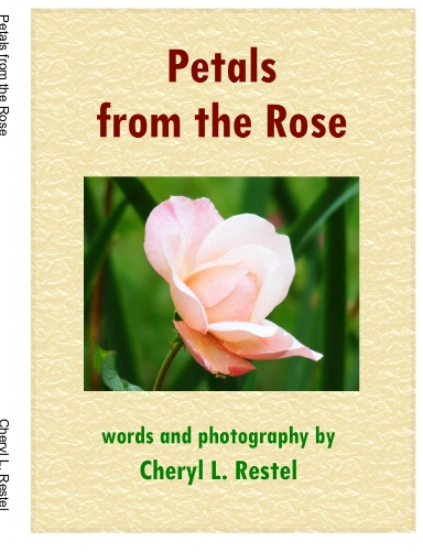 Petals from the Rose