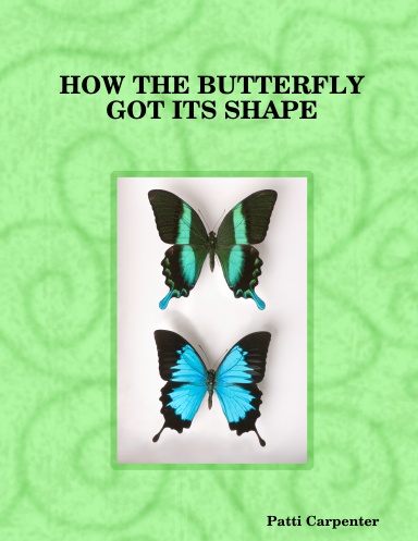 HOW THE BUTTERFLY GOT ITS SHAPE