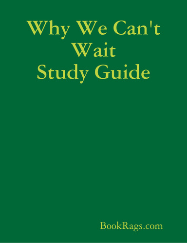 Why We Can't Wait Study Guide
