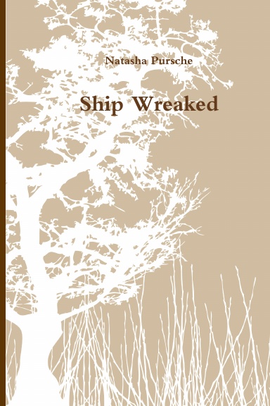 Ship Wreaked