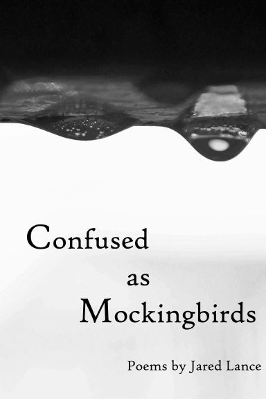 Confused as Mockingbirds