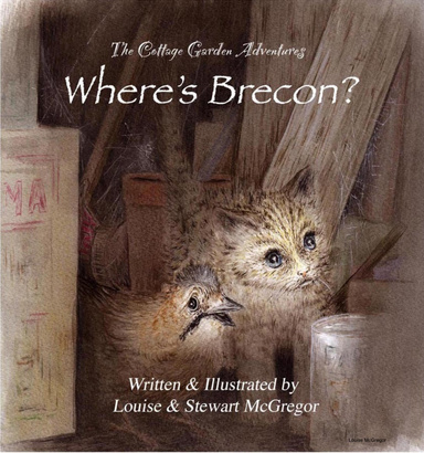 Where's Brecon