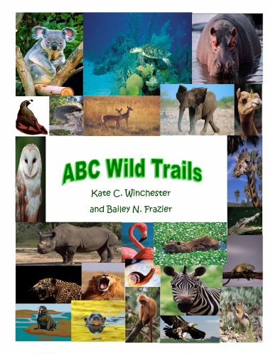 ABC Wild Trails