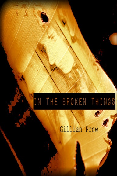 In the Broken Things