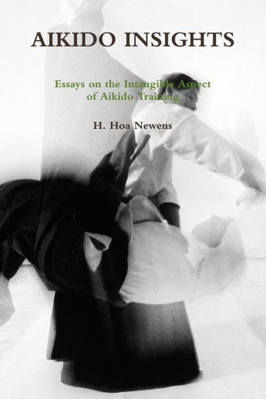 AIKIDO INSIGHTS