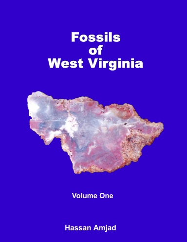 Fossils of West Virginia Volume One:          Black & White Edition