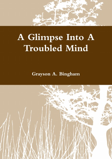 A Glimpse Into A  Troubled Mind