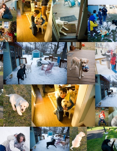 The Life Of A Buddy