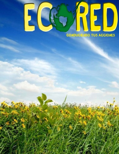 Ecored 8