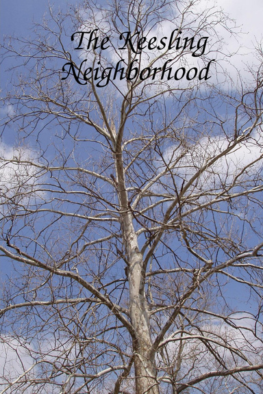 The Keesling Neighborhood