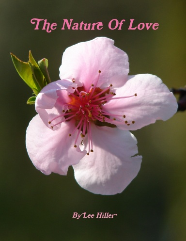 The Nature Of Love