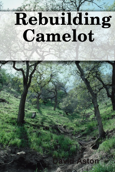 Rebuilding Camelot