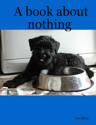 A book about nothing