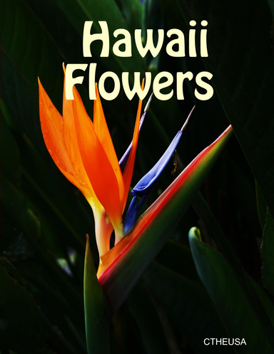 Hawaii Flowers