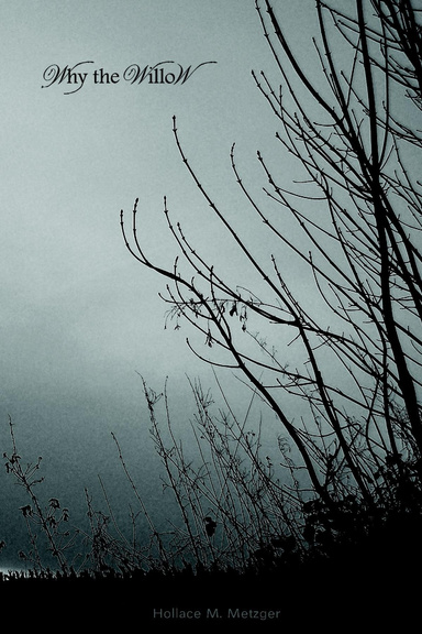 Why the Willow