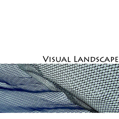 Visual Landscape