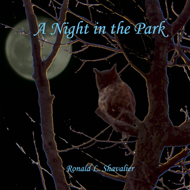 A Night in the Park