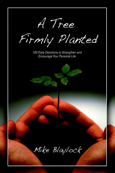 A Tree Firmly Planted