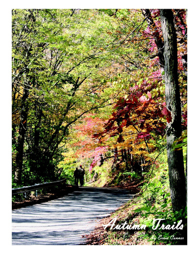 Autumn Trails