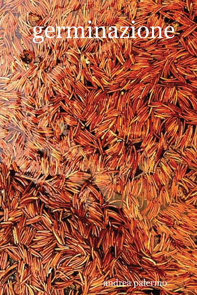germinazione