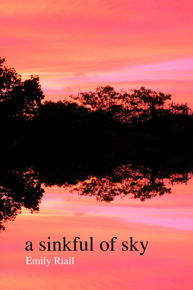 a sinkful of sky