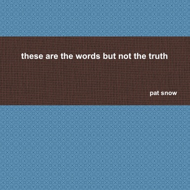 These are the words but not the truth