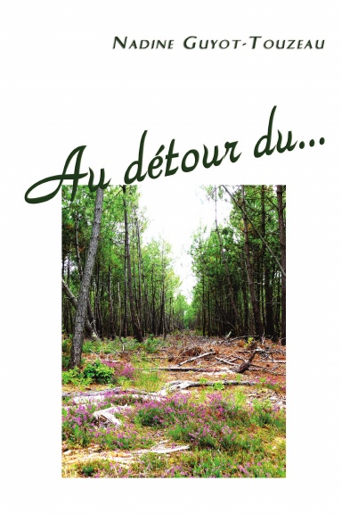 AU DETOUR DU...