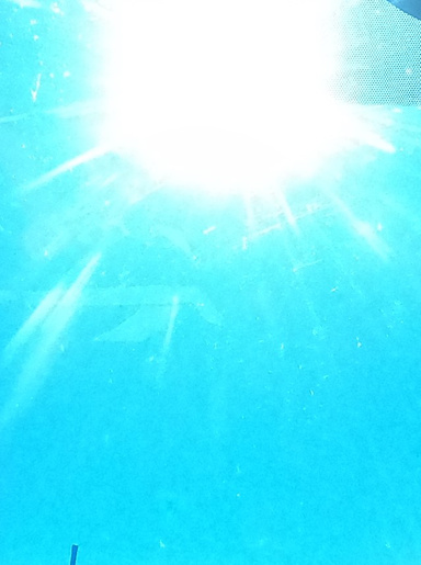 Dale - The Spirits Bequest