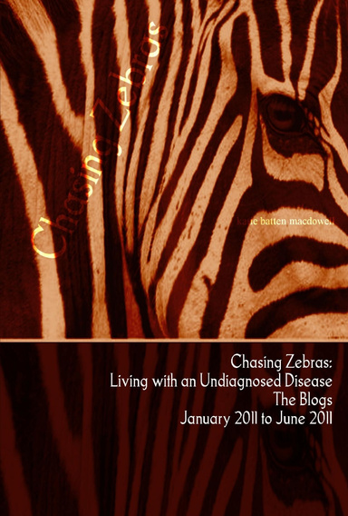 Chasing Zebras: The Blogs