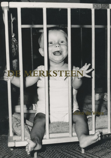 DE MERKSTEEN