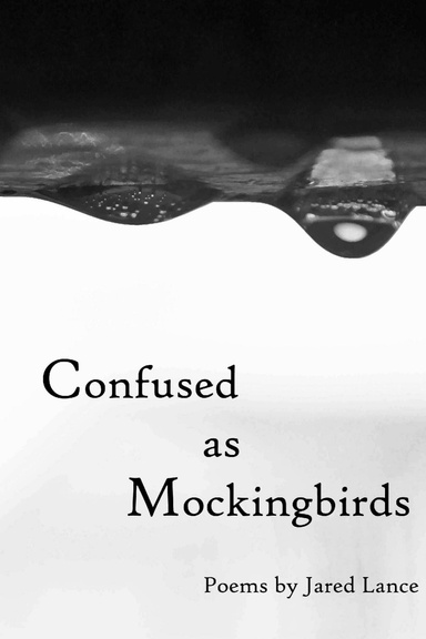 Confused as Mockingbirds